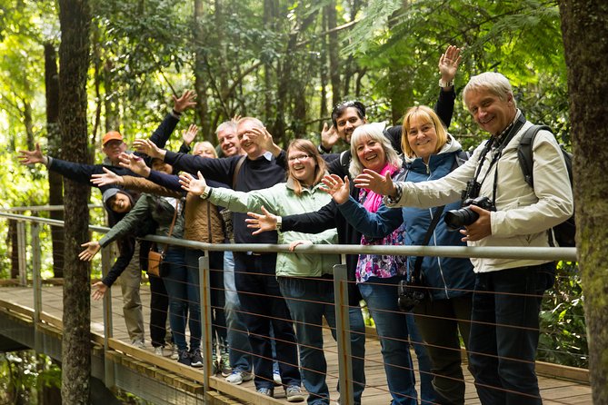 All Inclusive Blue Mountain,Scenic World,Lunch,Koalas,ferry - Why this Blue Mountains day works so well