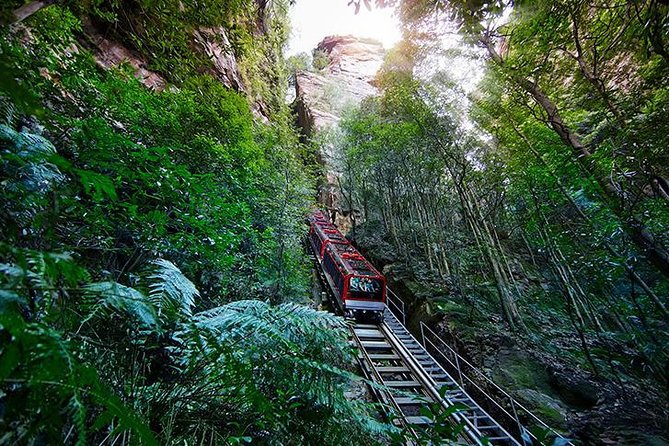 All Inclusive Blue Mountain,Scenic World,Lunch,Koalas,ferry - Scenic World: three rides, three ways to see the mountains