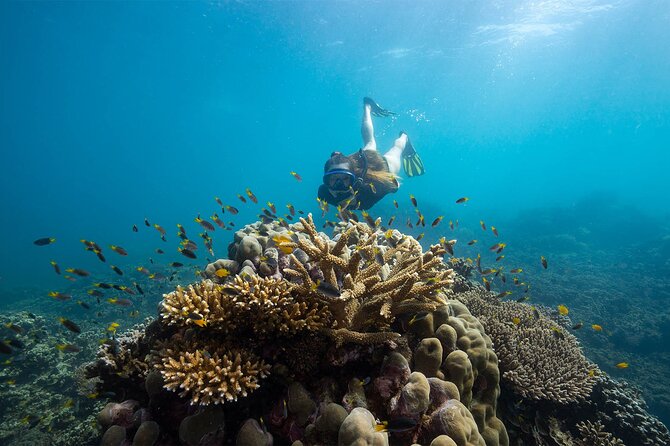 All Inclusive Day Tour to Frankland Islands Great Barrier Reef - Kayaks, paddleboards, and time to do nothing