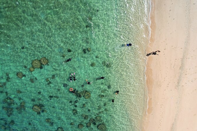 All Inclusive Day Tour to Frankland Islands Great Barrier Reef - The tropical buffet lunch