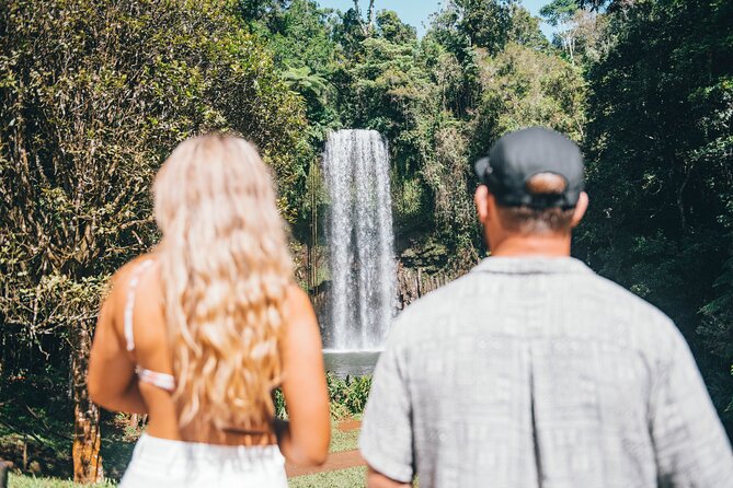 All Inclusive Waterfalls and Rainforest Tour from Cairns - Why this Cairns day trip works so well