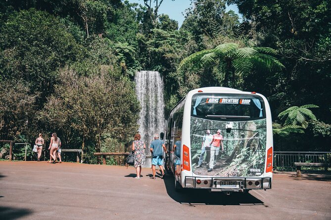 All Inclusive Waterfalls and Rainforest Tour from Cairns - Millaa Millaa Falls is the picture stop