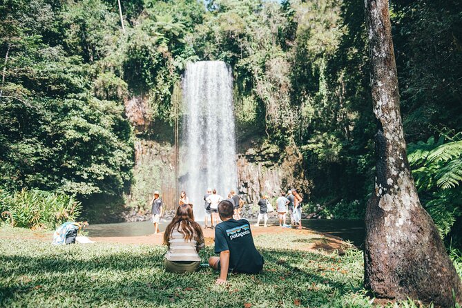 All Inclusive Waterfalls and Rainforest Tour from Cairns - Searching for platypus and tree-kangaroos