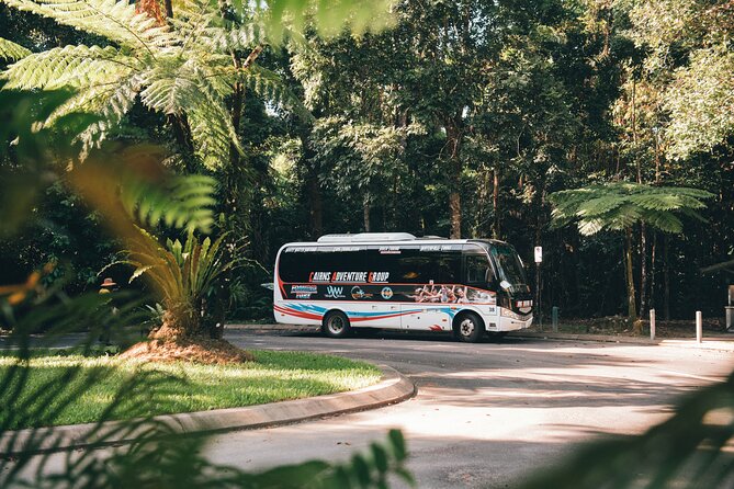 All Inclusive Waterfalls and Rainforest Tour from Cairns - Babinda Boulders and the stories of the creek