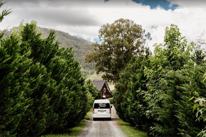 Barefoot Luxury Mount Tamborine Winery Tour from Brisbane - Why Mount Tamborine works as a day trip from Brisbane
