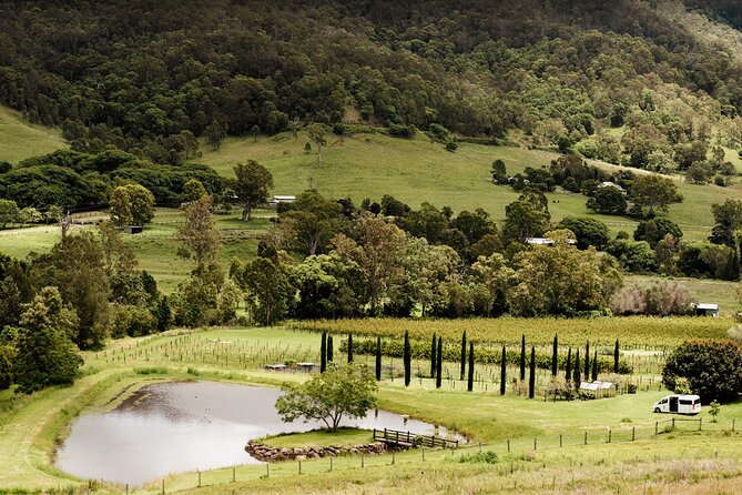 Barefoot Luxury Mount Tamborine Winery Tour from Brisbane - Witches Falls Winery brings the strongest wine focus