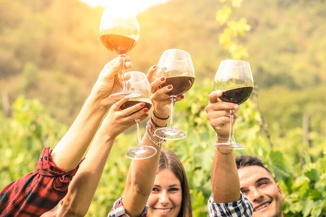 Barossa Valley Cellar Door Small Group Tour - Ubertas Wines and a smaller family setting