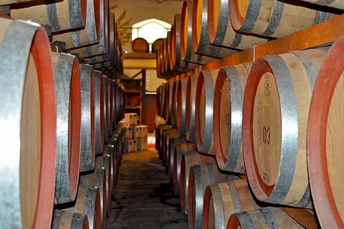 Barossa Valley Cellar Door Small Group Tour - The food, wine, and drinking pace