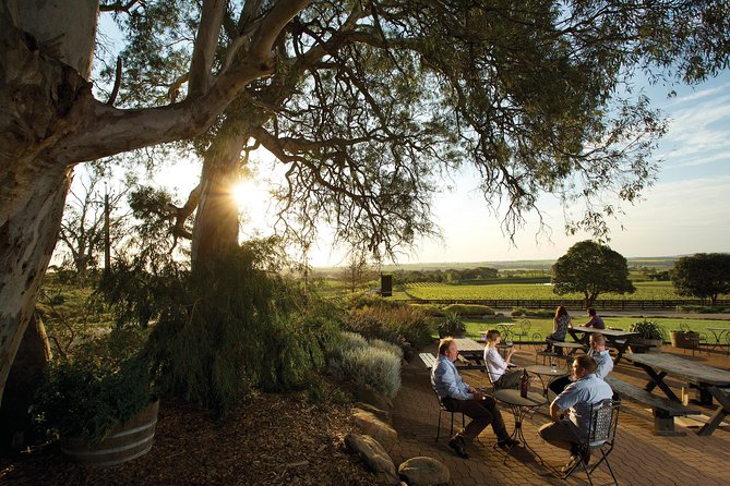 Barossa Valley Hop-On Hop-Off Wine Tour - The One Rule You Cannot Ignore: Watch the Bus