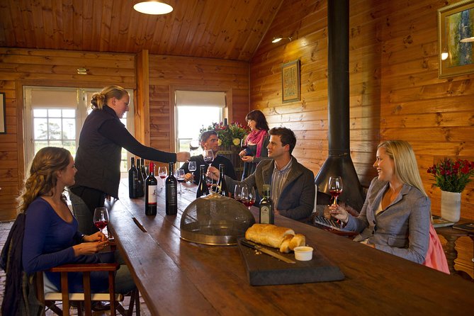 Barossa Valley Hop-On Hop-Off Wine Tour - Who Should Book This Tour?