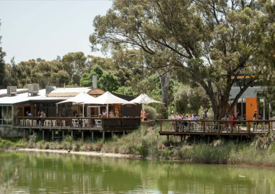 Barossa Valley: Maggie Beer's Wine Tasting & Cheese Platter - Key points to know before booking