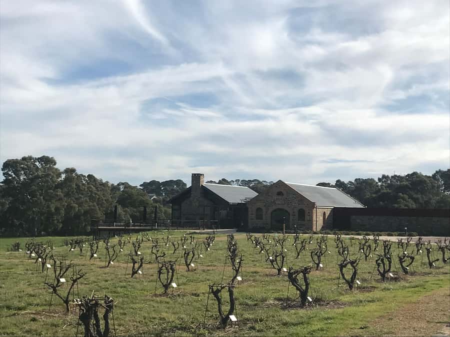 Barossa Valley: Small Group Wine Tour (Includes Lunch) - Meeting Nick and the local guides