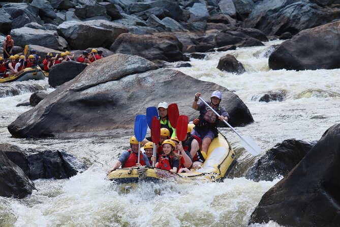 Barron Gorge White Water Rafting from Cairns or Port Douglas - Should you book it?