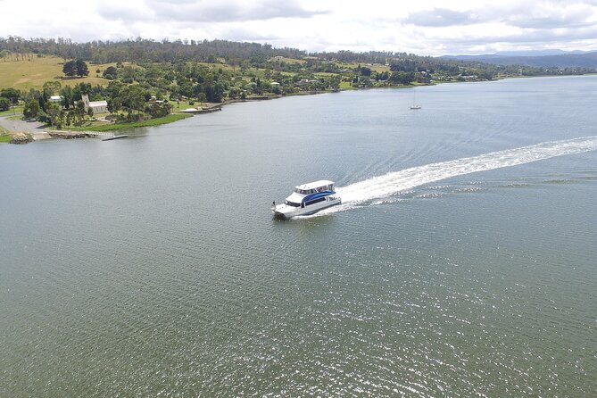 Batman Bridge 4 Hour Luncheon Cruise including sailing into the Cataract Gorge - Turning back through the Tamar Valley