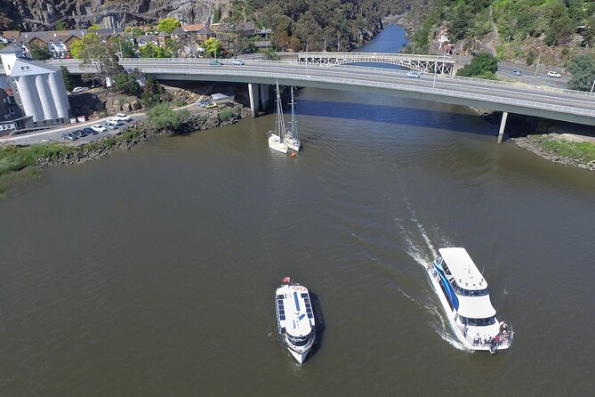 Batman Bridge 4 Hour Luncheon Cruise including sailing into the Cataract Gorge - Sailing into Cataract Gorge