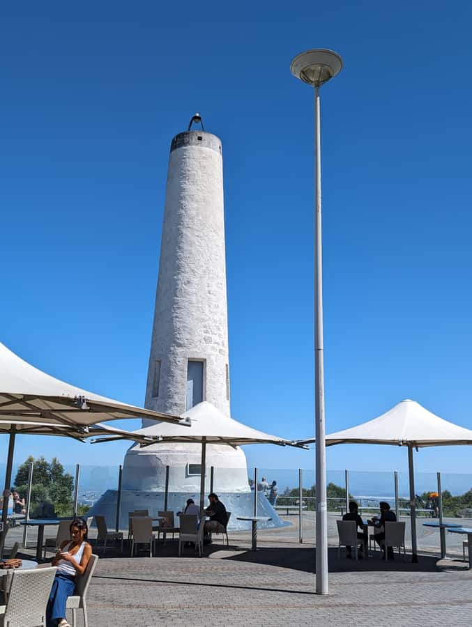 Best of Adelaide- City Highlights (Half-Day Tour) - Victoria Square and the city centre