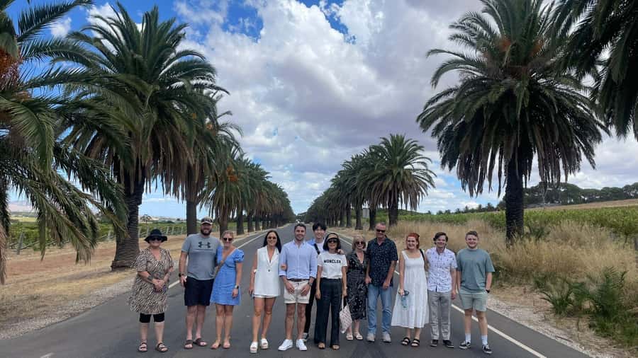 Best of Adelaide- City Highlights (Half-Day Tour) - Mount Lofty Summit and the view over Adelaide