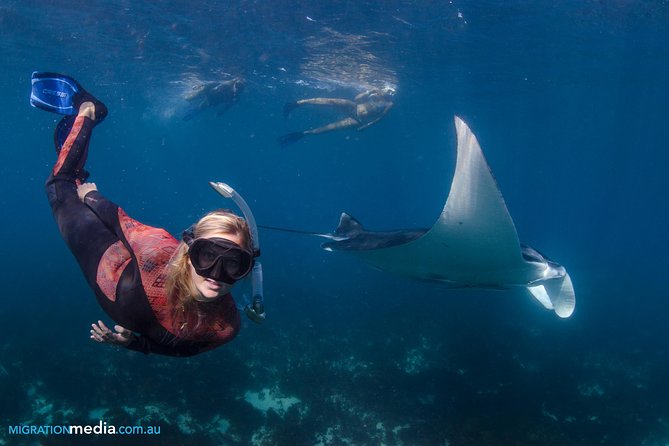Best of Ningaloo Mantas and More - Meeting in Coral Bay and Planning Your Day