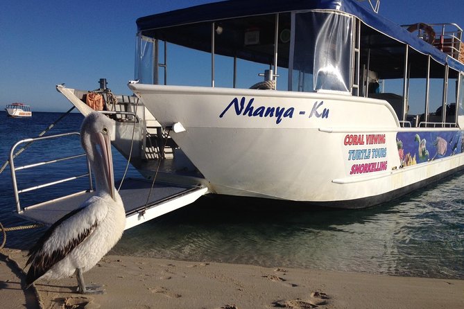 Best of Ningaloo Mantas and More - Who Will Get the Most from This Trip