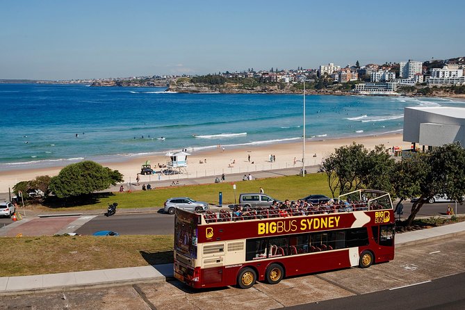 Big Bus Sydney and Bondi Hop-on Hop-off Tour - The city route, from museums to the Harbour Bridge