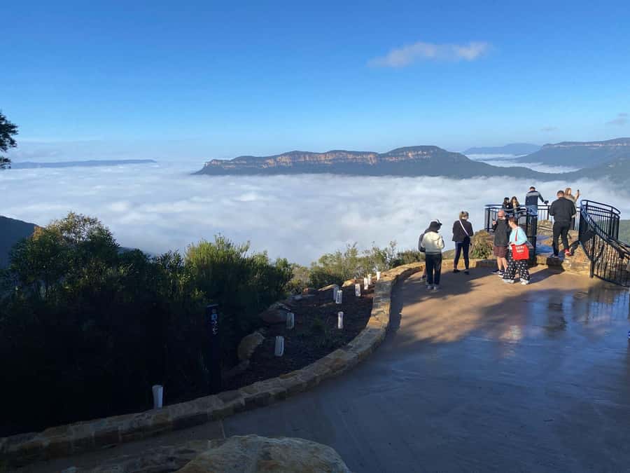Blue Mountain Small Group Scenic World, Wildlife, Waterfall - The Parramatta River cruise back to Sydney
