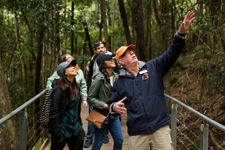 Blue Mountain Small Group Scenic World, Wildlife, Waterfall - Scenic World: four ways to see the rainforest
