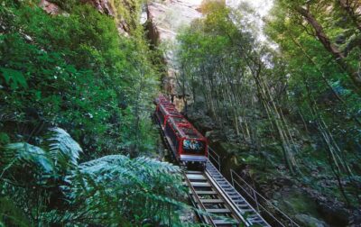 Blue Mountains Adventure: Scenic World, Zoo & Koala Photo