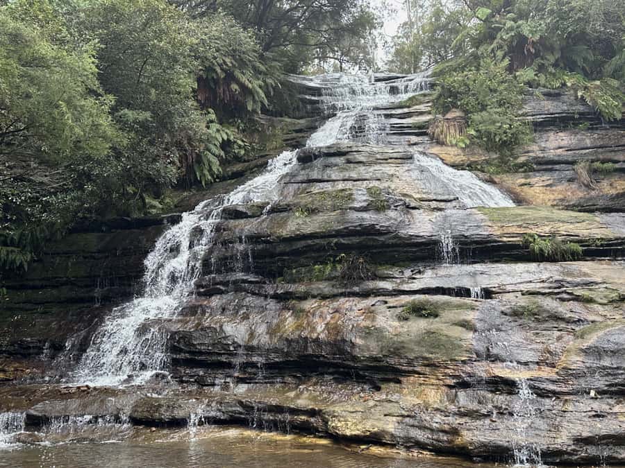 Blue Mountains Adventure: Scenic World, Zoo & Koala Photo - Scenic World turns scenery into an activity