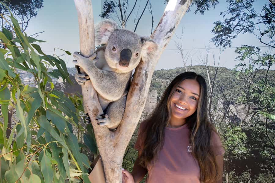 Blue Mountains Adventure: Scenic World, Zoo & Koala Photo - Sydney Zoo brings the Australian wildlife close