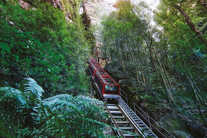 Blue Mountains Adventure w Scenic World, Zoo, Koala Photo & Ferry - At a glance