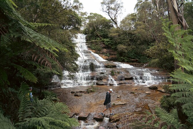 Blue Mountains Adventure w Scenic World, Zoo, Koala Photo & Ferry - Why this day works for first-time Sydney visitors