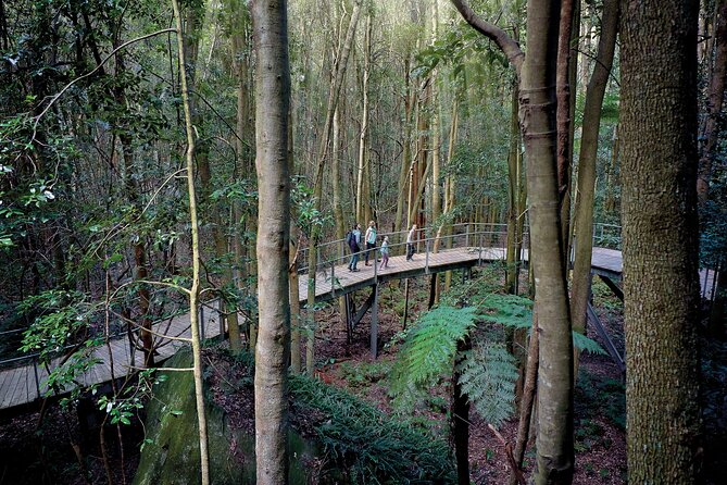 Blue Mountains Adventure w Scenic World, Zoo, Koala Photo & Ferry - The early run to Glenbrook