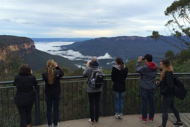 Blue Mountains Day Tour Including Parramatta River Cruise - Wentworth Falls or Leura Cascades brings the walking