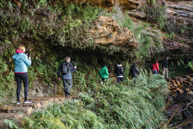 Blue Mountains Day Tour With Bushwalks, Waterfalls & Featherdale - Katoomba, Leura, or another mountain village