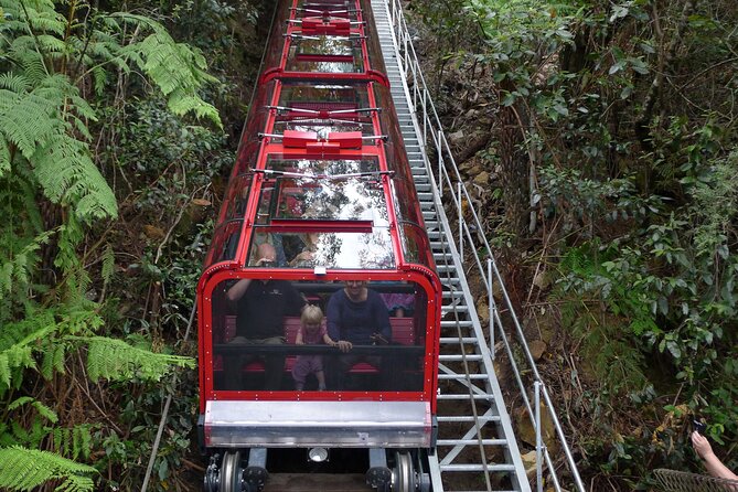 Blue Mountains Day Trip from Sydney Including Scenic World - One long day, four ways to see New South Wales