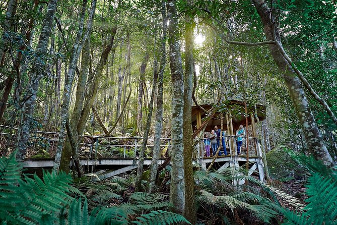 Blue Mountains Small-Group Tour from Sydney with Scenic World,Sydney Zoo & Ferry - Scenic World’s Skyway, Cableway and Railway