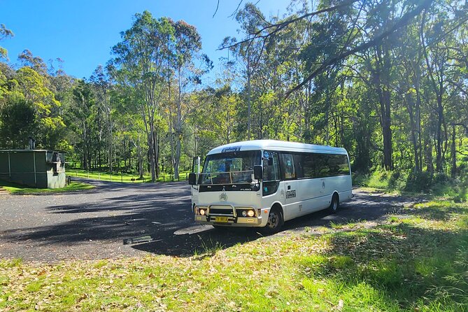 Blue Mountains Small Group Tour with Waterfall Walk & Fresh Lunch - Lookouts Chosen Around the Weather