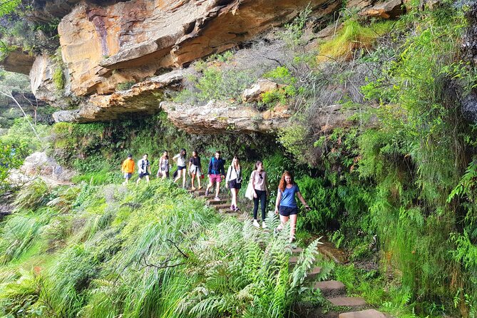 Blue Mountains Small Group Tour with Waterfall Walk & Fresh Lunch - Wentworth Falls: The Day’s Main Event