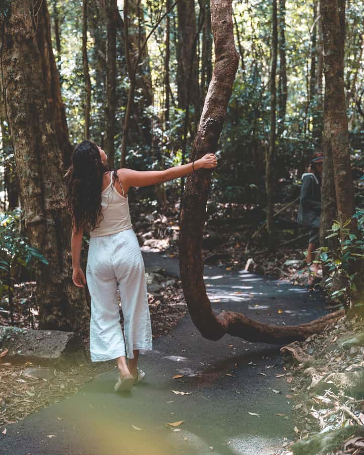 Brisbane: Rainforests, Waterfalls and Glow Worm Cave Tour - The guides are a major part of the experience