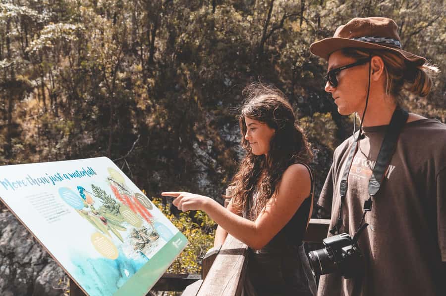 Brisbane: Rainforests, Waterfalls and Glow Worm Cave Tour - Cedar Creek Glow Worm Caves are the headline stop