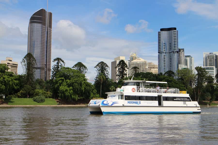 Brisbane River Cruise and Koala Sanctuary Visit - Feeding kangaroos and finding the platypus