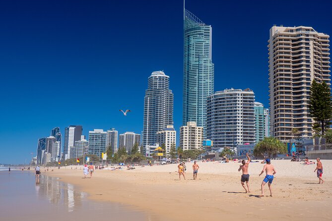 Brisbane Segway Sightseeing Tour - What the guides add to the ride