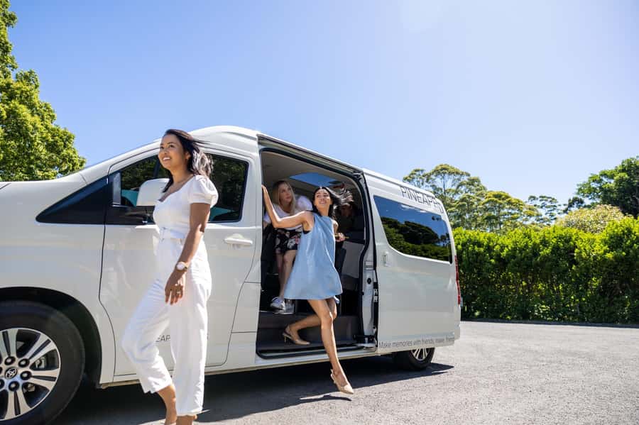 Brisbane: Tamborine Mountain Local Winery Tour with Lunch - The ride up from Brisbane