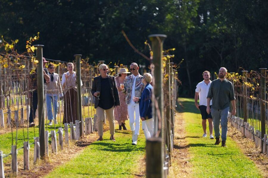 Brisbane: Tamborine Wine & Distillery Tour - Tamborine Mountain Distillery brings a change of pace