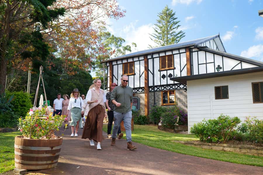 Brisbane: Tamborine Wine & Distillery Tour - A scenic lookout with rainforest views
