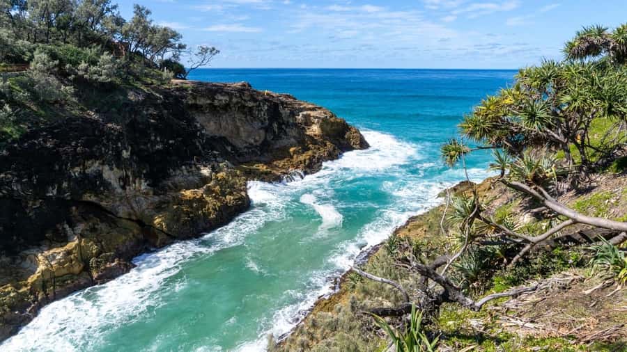 Brisbane to North Stradbroke Island Day: Wildlife & Beaches - The early start from Brisbane or Cleveland