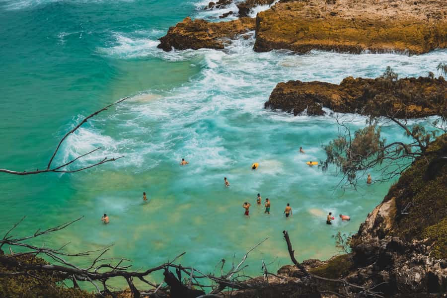 Brisbane to North Stradbroke Island Day: Wildlife & Beaches - Lunch near Point Lookout