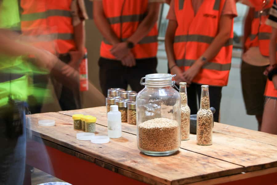Brisbane: XXXX Beer Brewery Tour and Beer Tasting - Practical tips for a smoother visit