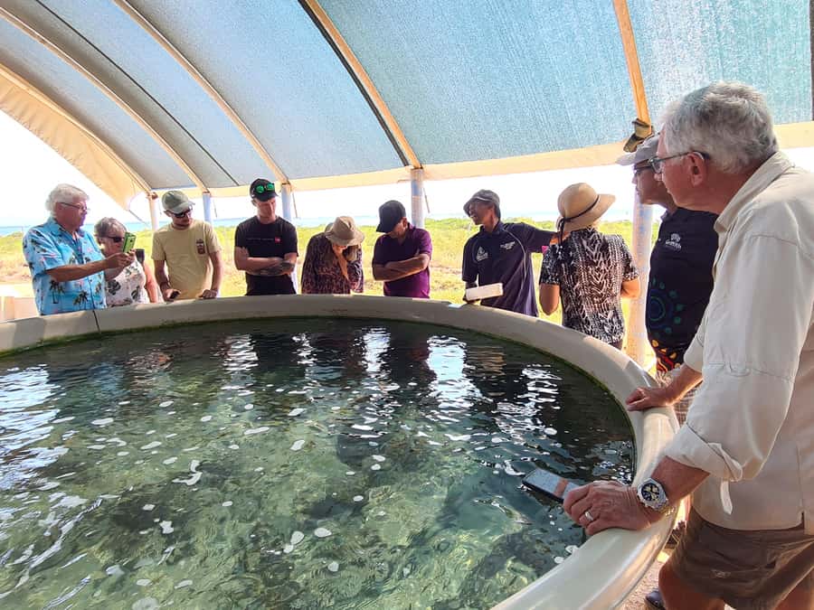 Broome: Dampier Peninsula Tour (Optional Scenic Flight) - Beagle Bay and the Pearl Shell Altar