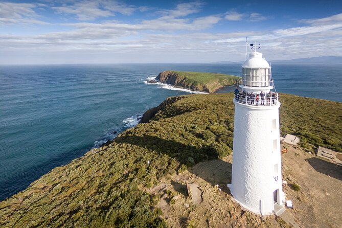 Bruny Island Food, Sightseeing, Guided Lighthouse Tour & Lunch - Key points at a glance